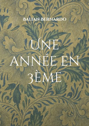 Une année en 3ème - Balian Bernardo - BOOKS ON DEMAND