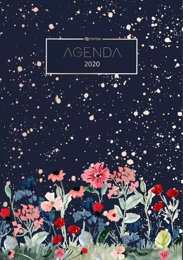 Agenda 2020 - Agenda de Poche et Planificateur 2020 - Organiseur et Calendrier 2020 - Agenda Journalier et Agenda Semainier - El Fintera - BOOKS ON DEMAND