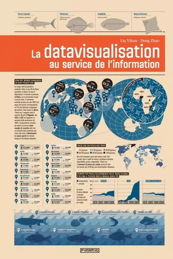 La datavisualisation au service de l'information -  Collectif - PYRAMYD