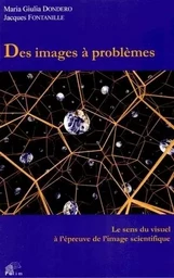 Des images à problèmes - le sens du visuel à l'épreuve de l'image scientifique