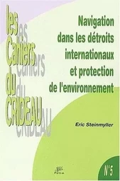 Navigation dans les détroits internationaux et protection de l'environnement - la prévention des pollutions marines accidentelles dans le Pas-de-Calais et les Bouches de Bonifaci