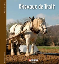 Chevaux de trait