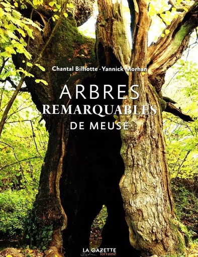 ARBRES REMARQUABLES DE MEUSE - CHANTAL BILLIOTTE, Yannick Morhan - GAZETTELORRAINE