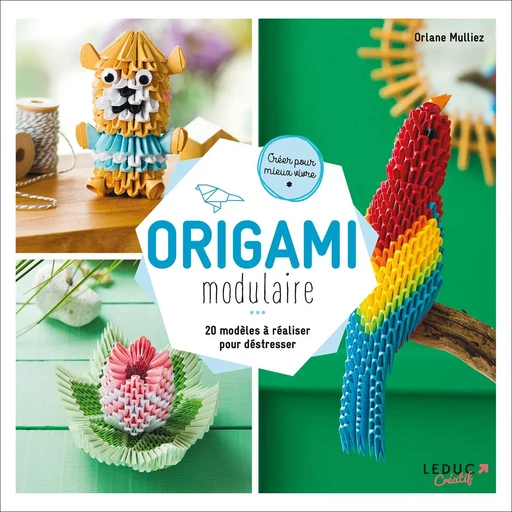 Origami modulaire - Orlane Mulliez - INEDITE