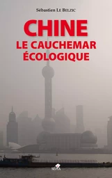 Chine, le cauchemar écologique