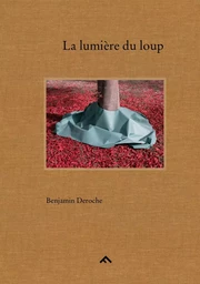 La lumière du loup