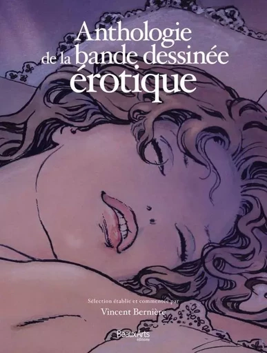 ANTHOLOGIE DE LA BANDE DESSINEE EROTIQUE -  Vincent berniere - BEAUX ARTS ED