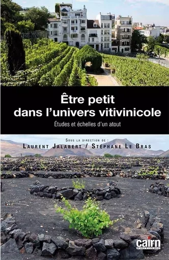 ÊTRE PETIT DANS L’UNIVERS VITIVINICOLE - Laurent Jalabert, Stéphane Le Bras - CAIRN