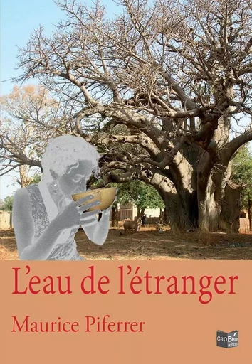 L'eau de l'étranger - MAURICE PIFERRER - CAP BEAR