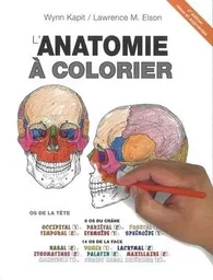 Anatomie à colorier, 4e éd.