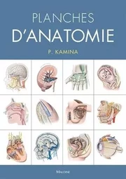 Planches d'anatomie humaine. 31 planches. Reliure a spirale, 3e éd.