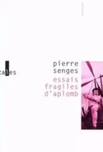 Essais fragiles d'aplomb - Pierre Senges - VERTICALES