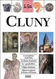 CLUNY (IN SITU)