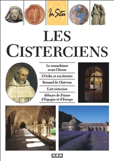 LES CISTERCIENS-IN SITU -  ROUX/JULIE - MSM