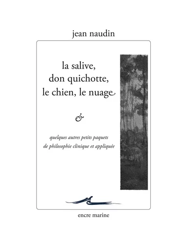 La salive, Don Quichotte, le chien, le nuage... et quelques autres petits paquets de philosophie clinique et appliquée - Jean Naudin - Encre Marine