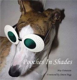 Pooches in Shades /anglais