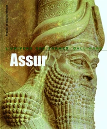 Proche et Moyen-Orient - Assur