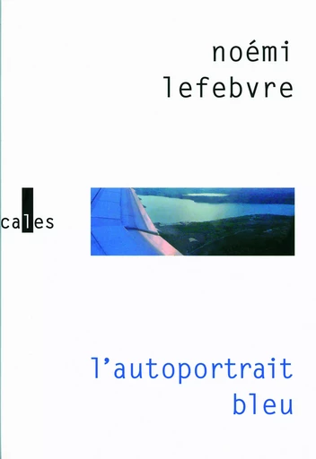 L'autoportrait bleu - Noémi Lefebvre - VERTICALES