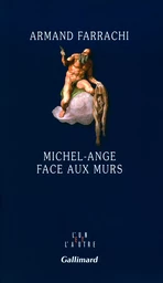 Michel-Ange face aux murs