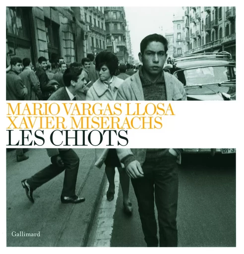 Les Chiots - Xavier Miserachs, Mario Vargas Llosa - GALLIMARD