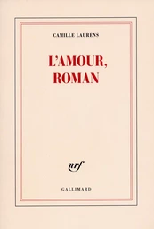 L'amour, roman