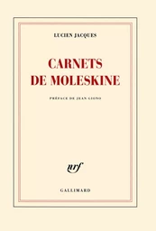 Carnets de moleskine