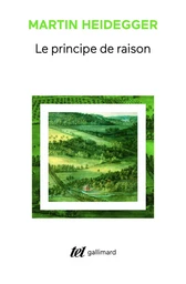 Le principe de raison