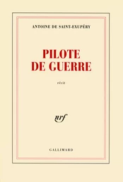 Pilote de guerre