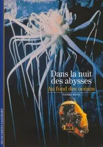 Dans la nuit des abysses - Daniel Reyss - GALLIMARD