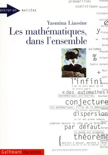 Les Mathématiques, dans l'ensemble - Yasmina Liassine - GALLIMARD