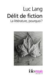 Délit de fiction