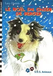 Le Noël du chien de berger