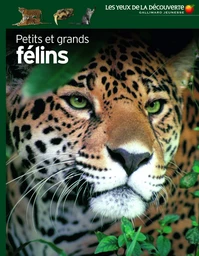 Petits et grands félins