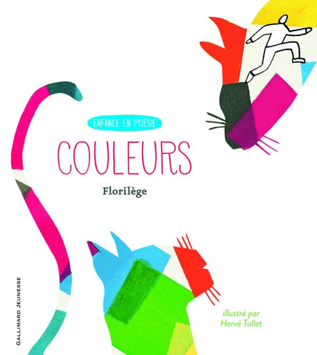 Couleurs -  Collectif - GALLIMARD JEUNE