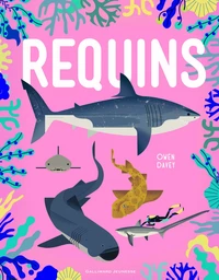 Requins