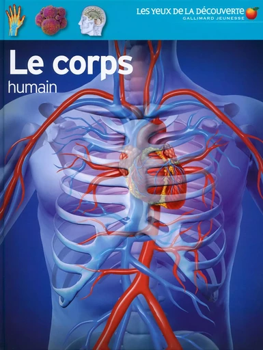 Le corps humain - Richard Walker - GALLIMARD JEUNE