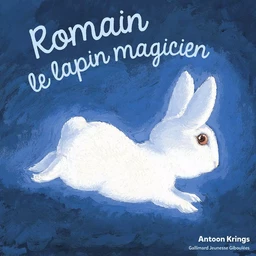 Romain le lapin magicien