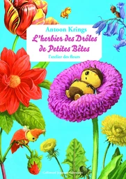 L'herbier des Drôles de Petites Bêtes