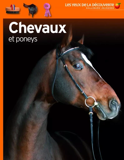 Chevaux et poneys - Juliet Clutton-Brock - GALLIMARD JEUNE