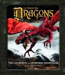 Le monde des Dragons