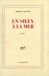 Un silex à la mer