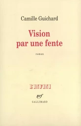 Vision par une fente