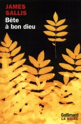 Bête à bon dieu