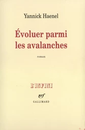 Évoluer parmi les avalanches