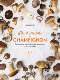 Les 4 saisons du champignon