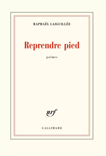 Reprendre pied - Raphaël Laiguillée - GALLIMARD