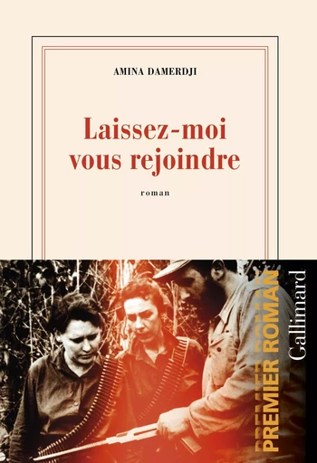 Laissez-moi vous rejoindre - Amina Damerdji - GALLIMARD