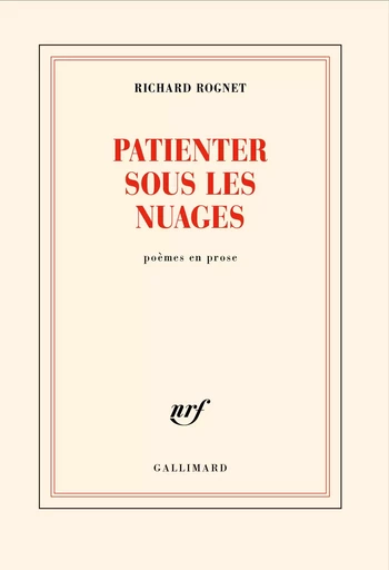 Patienter sous les nuages - Richard Rognet - GALLIMARD