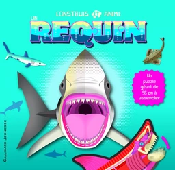 Construis et anime un requin