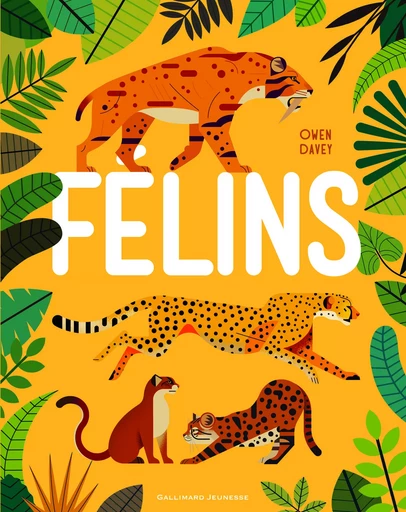 Félins - Owen Davey - GALLIMARD JEUNE